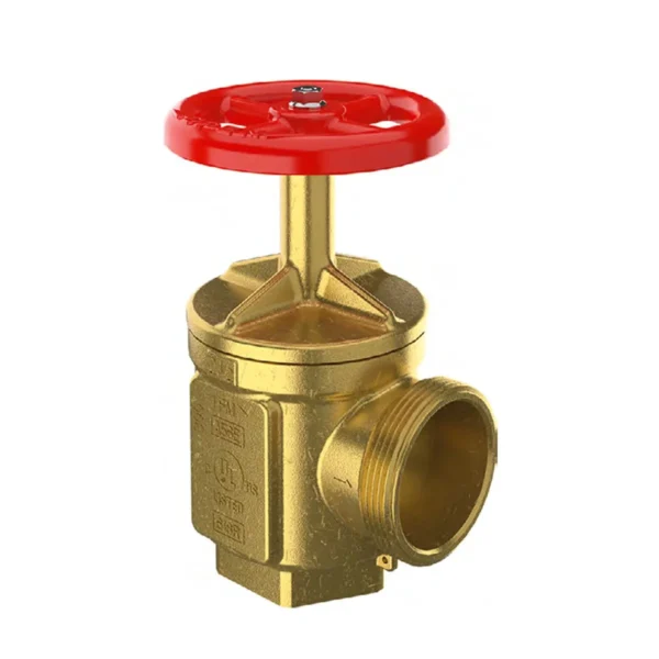 Válvula de 2-1/2" NPT con Tapas y Cadenas