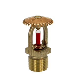 import placeholder for 1091